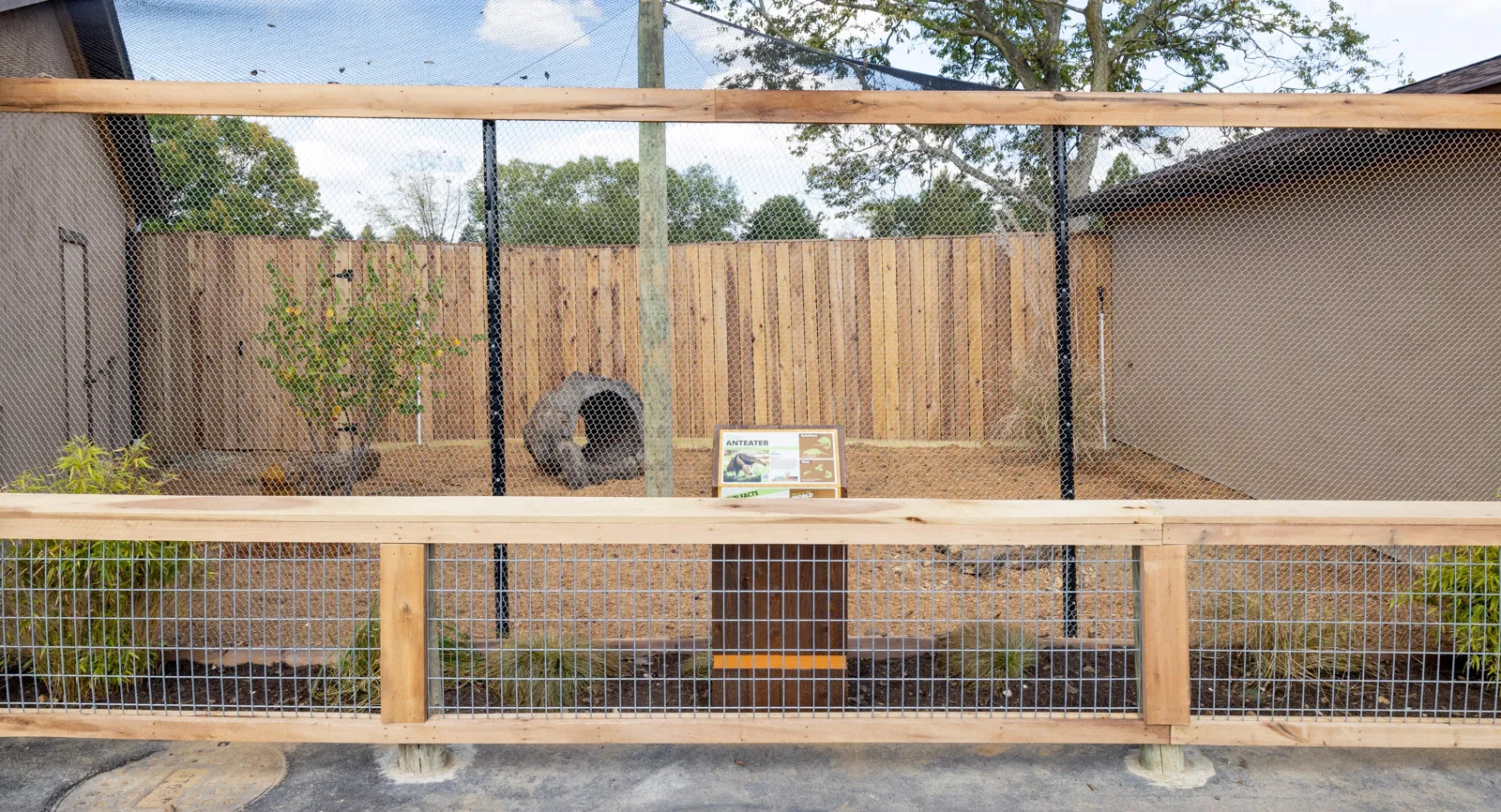 Giant Anteater enclosure