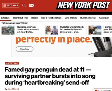 New York Post: Famed gay penguin dead at 11 — surviving partner bursts into song during ‘heartbreaking’ send-off 