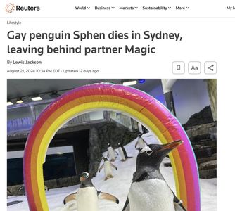 Reuters: Gay penguin Sphen dies in Sydney, leaving behind partner Magic