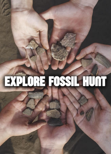 Fossil Hunt