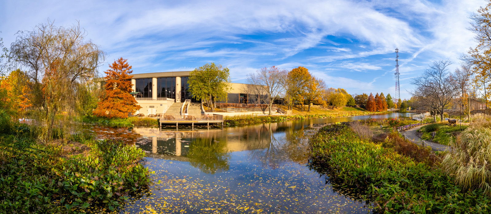 Fall trees at Creation Museum