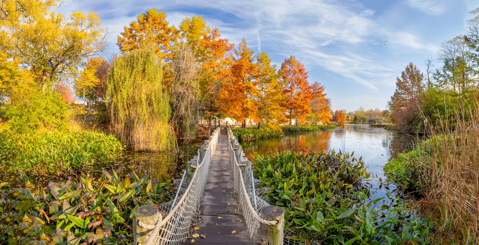 Fall trees at Creation Museum