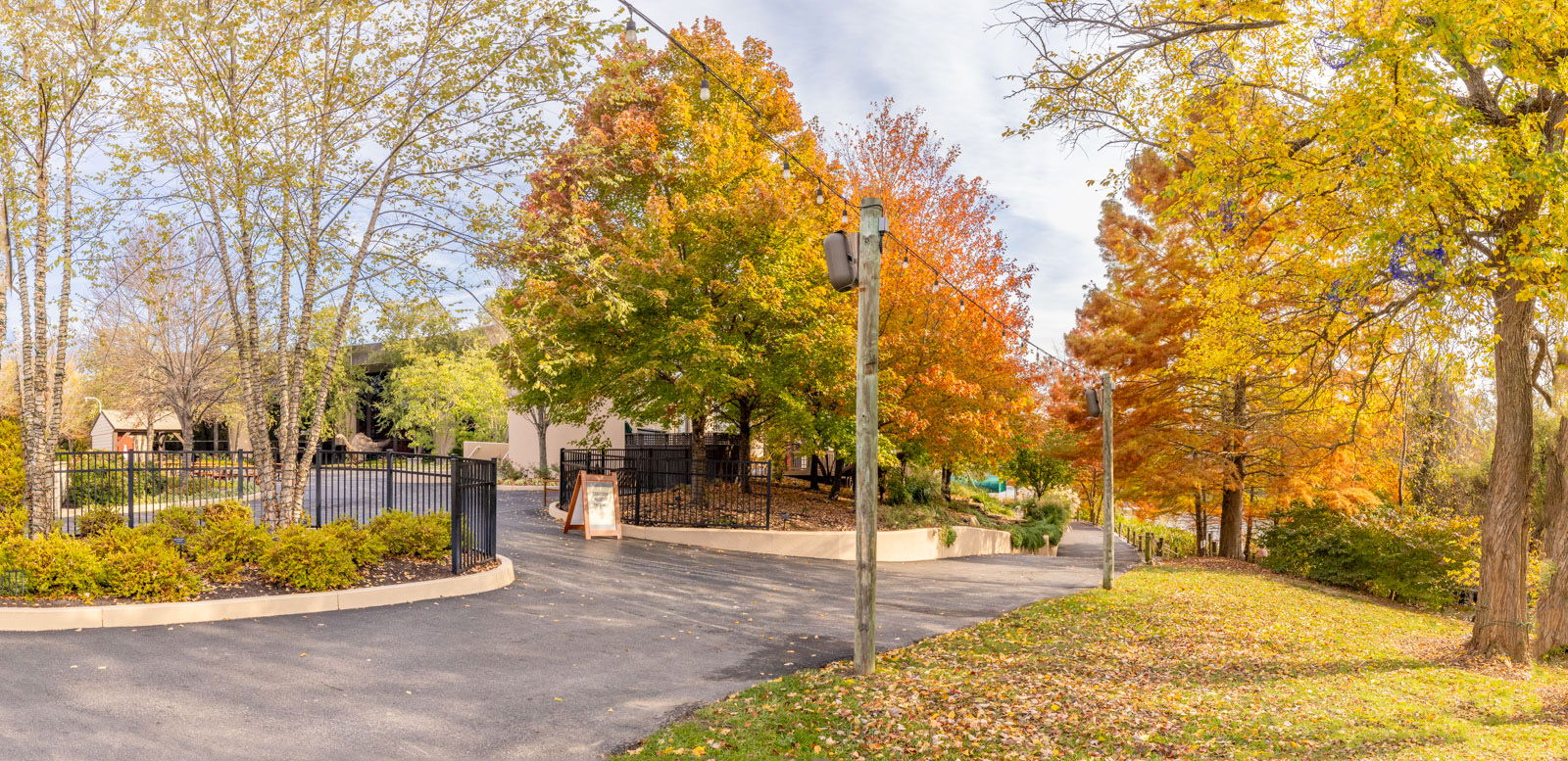 Fall trees at Creation Museum