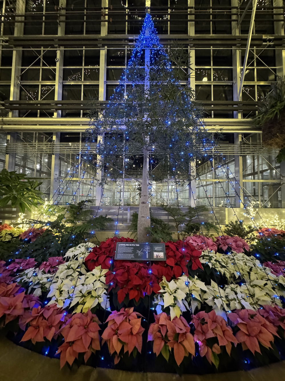 New Conservatory at the Creation Museum