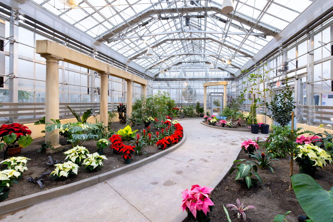 New Conservatory at the Creation Museum