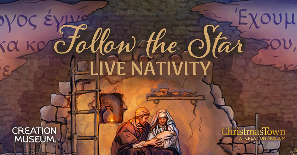 Live Nativity Illustration