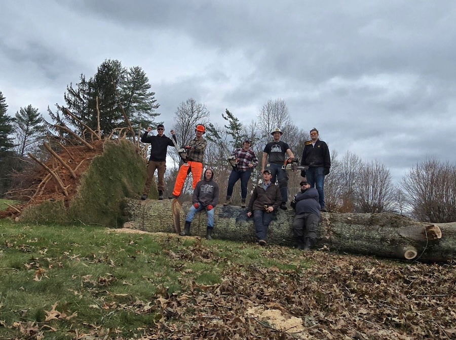 Staff on a felled tree