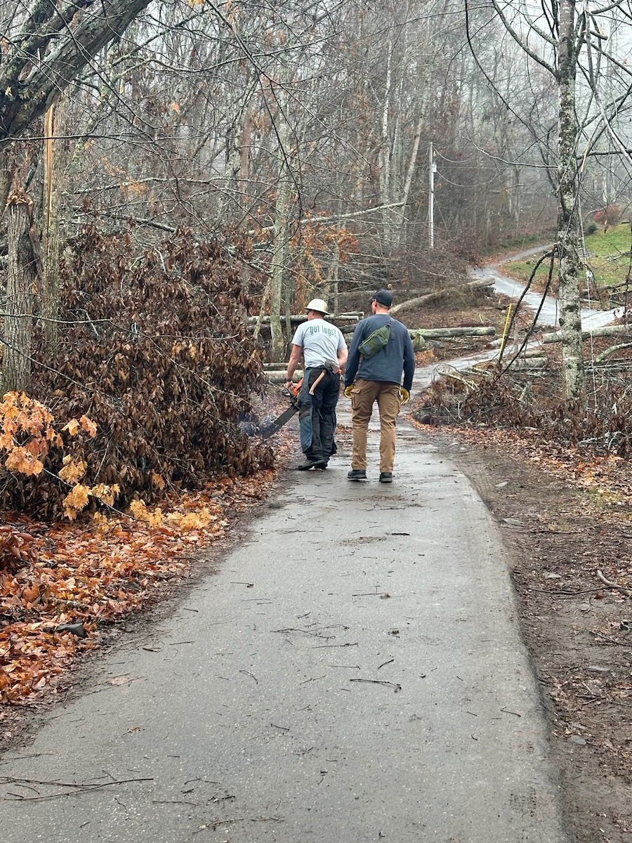 Cutting up fallen trees