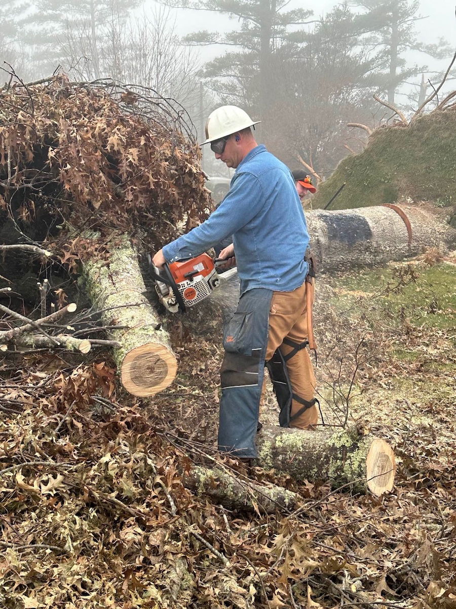 Cutting up fallen trees