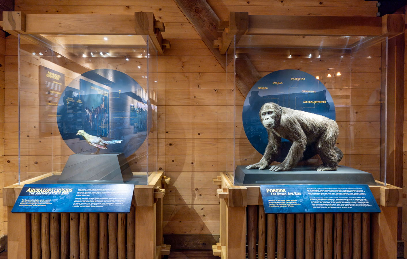 New Ark Encounter animal exhibit