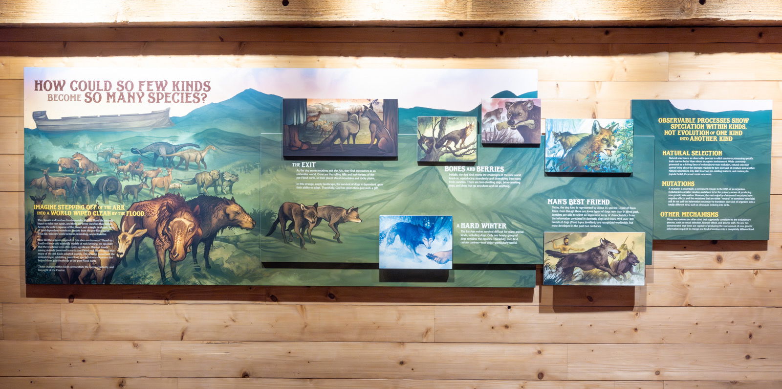 New Ark Encounter animal exhibit