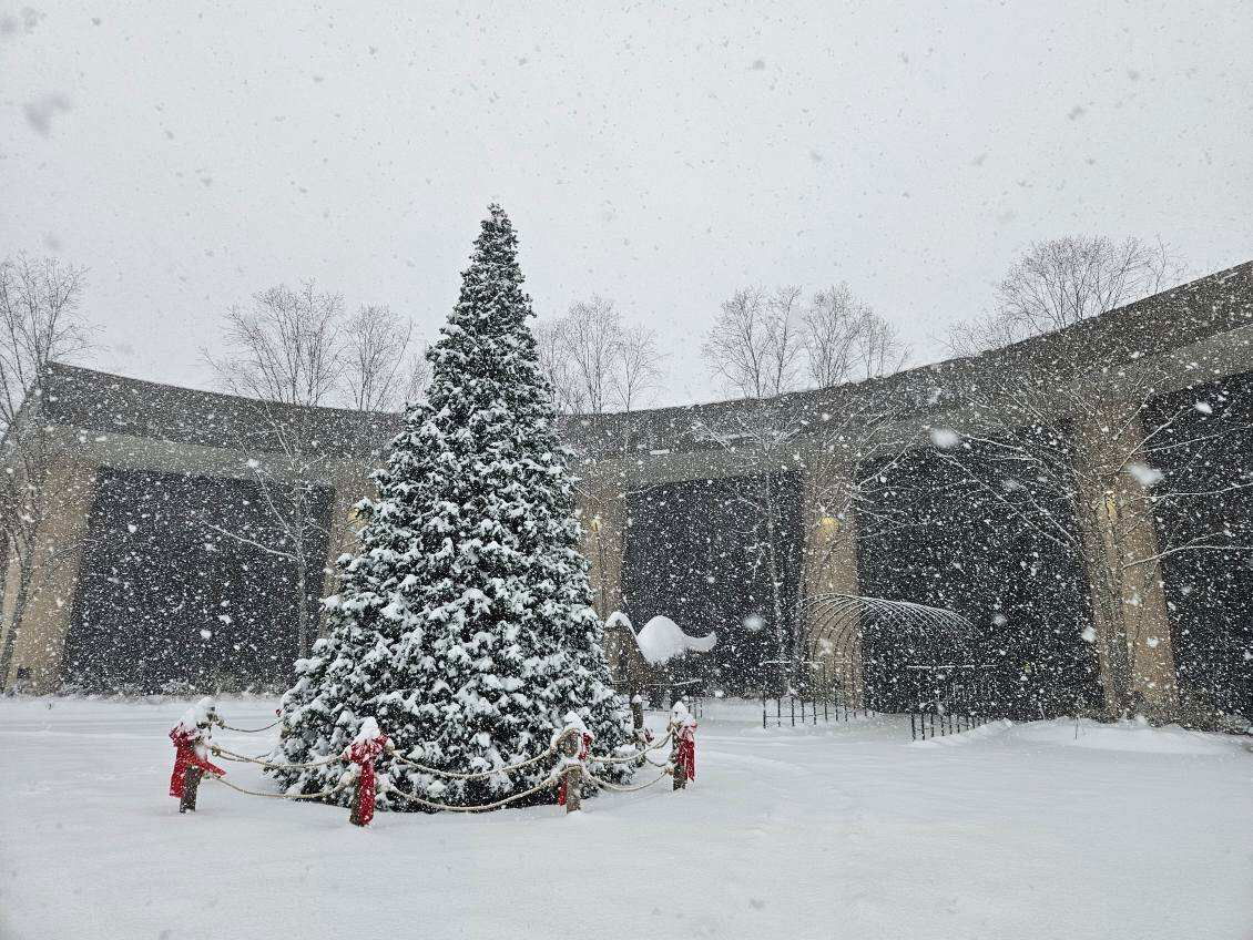 Winter wonderland at Ark Encounter and Creation Museum