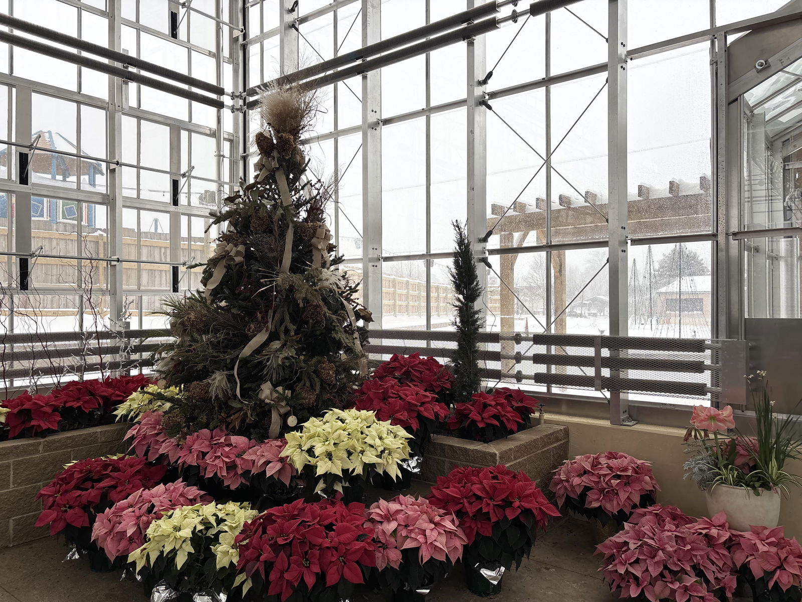 Winter wonderland at Ark Encounter and Creation Museum