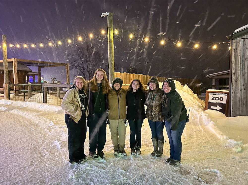 Winter wonderland in Ark Encounter zoo