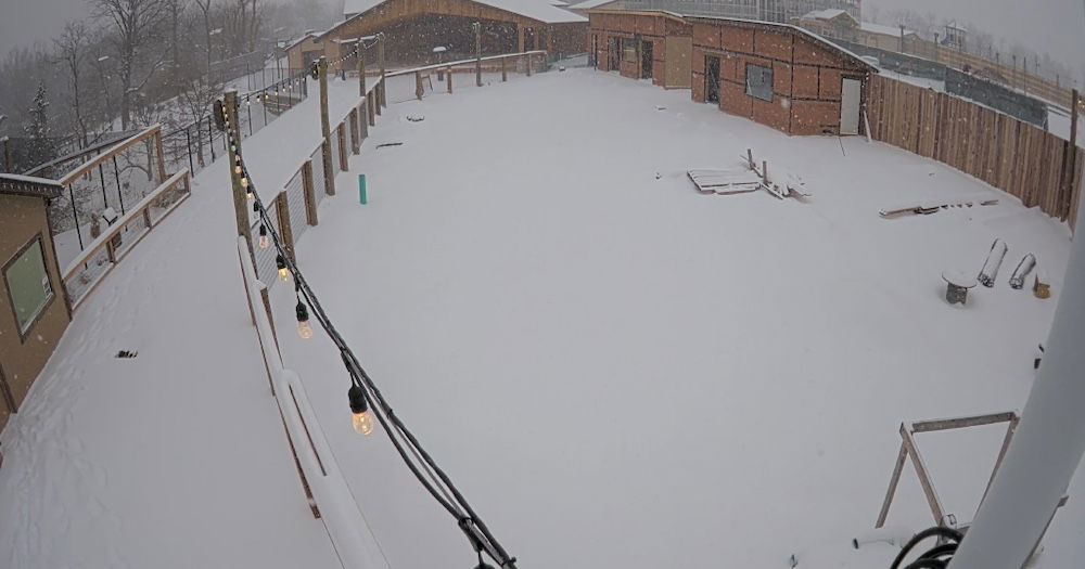 Winter wonderland in Ark Encounter zoo