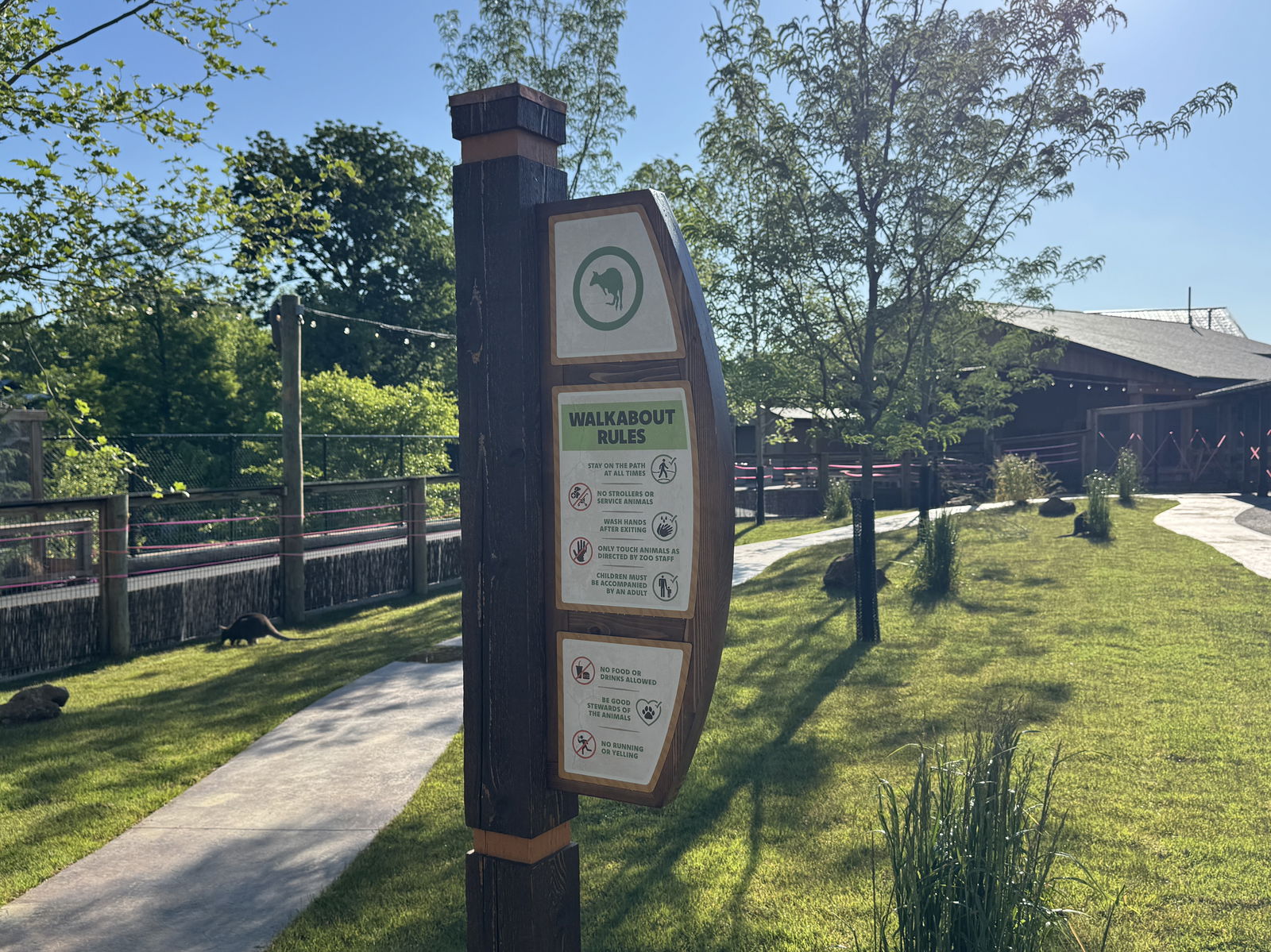 Creation Museum Kangaroo Walkabout