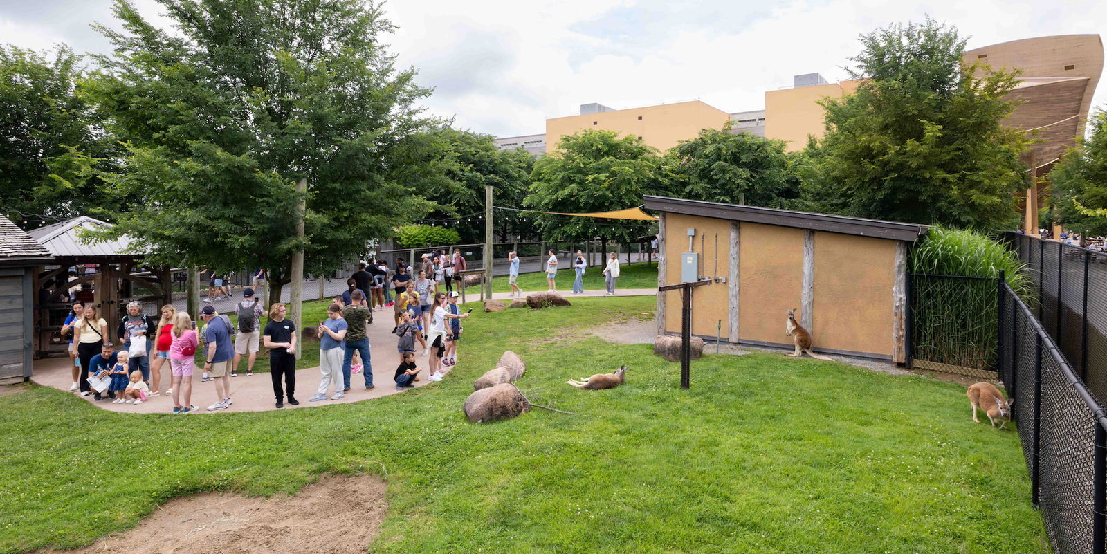 Attraction crowds