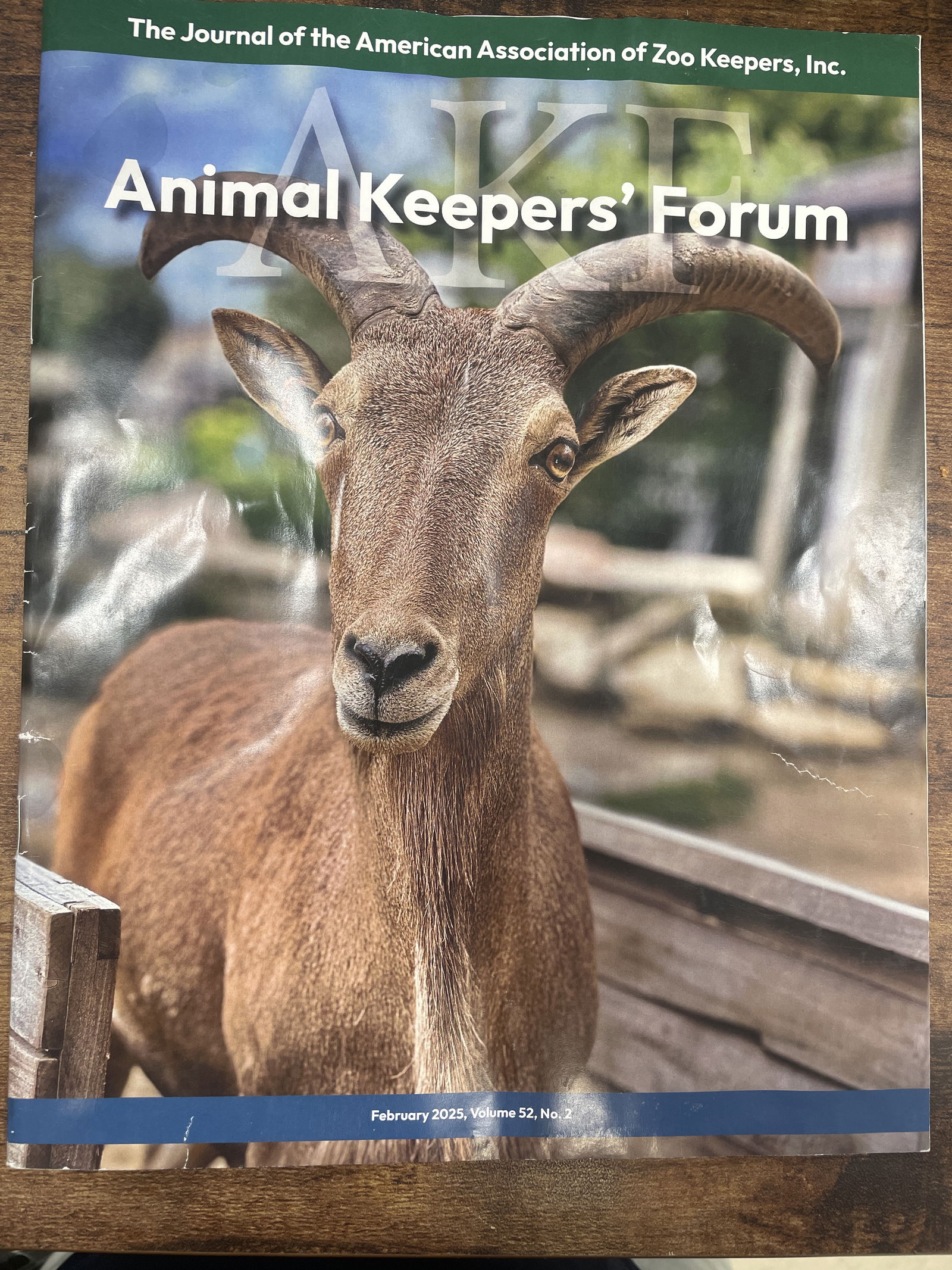 Stephen Belknap's Research