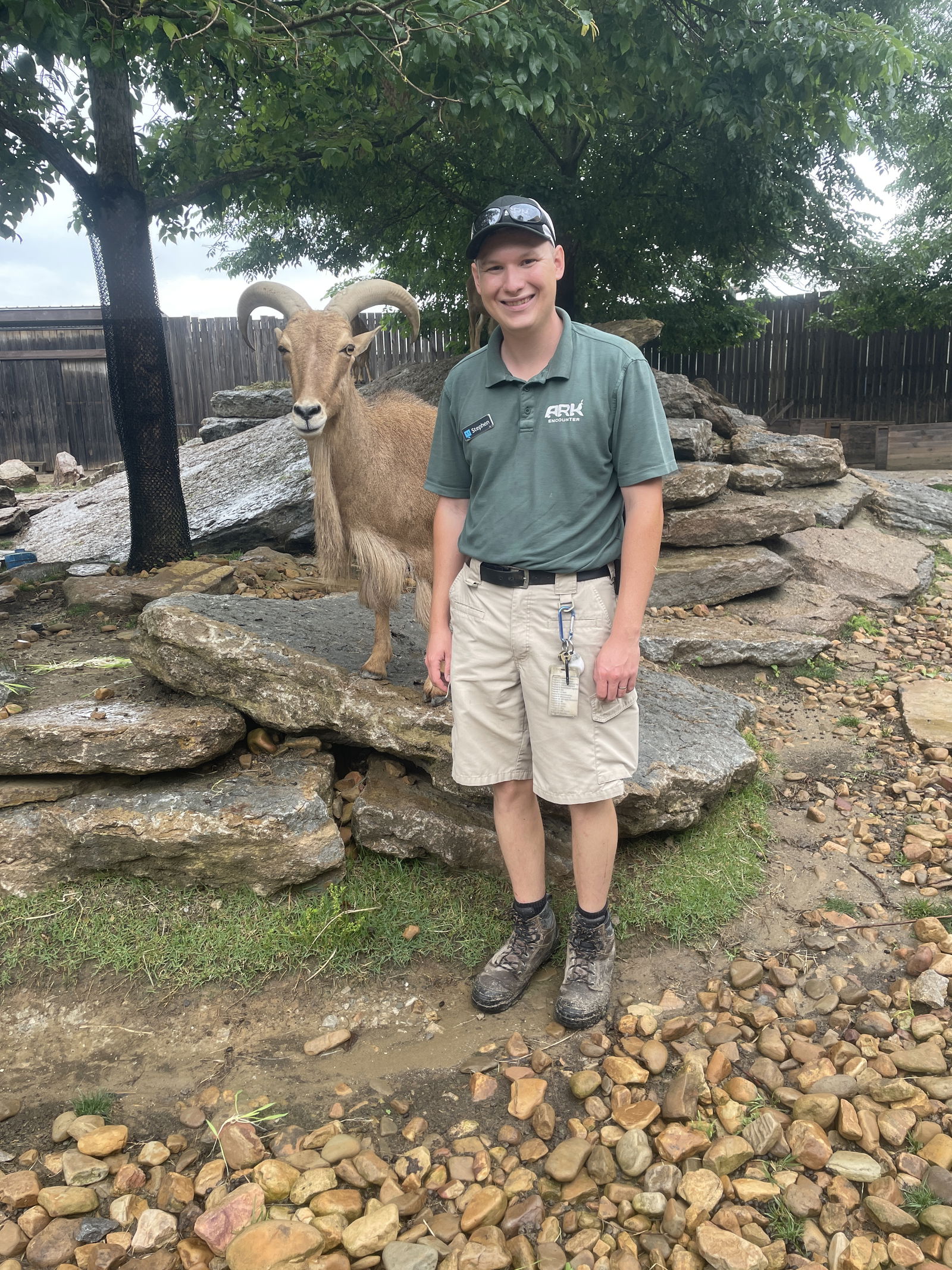 Stephen Belknap's Research