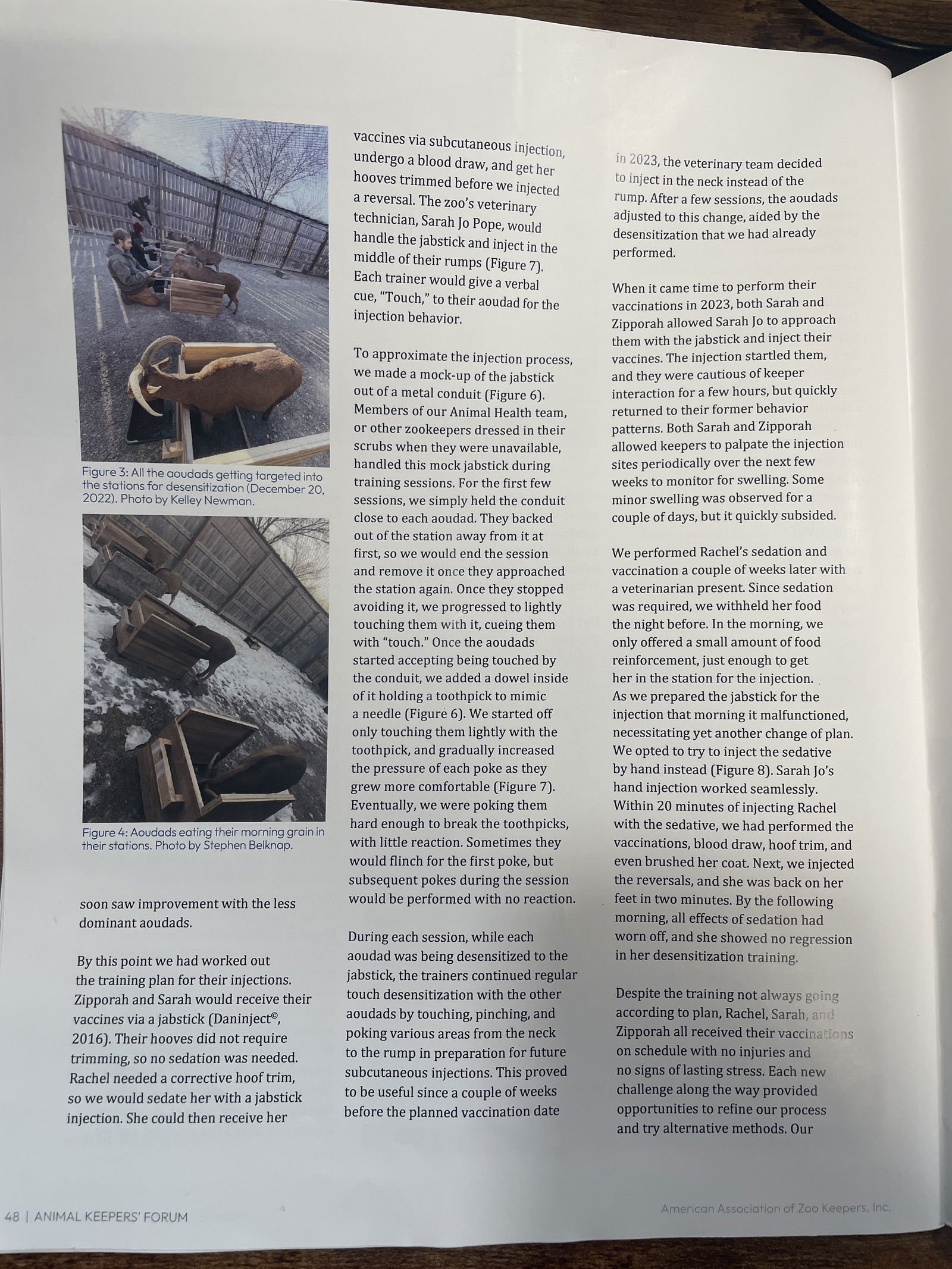 Stephen Belknap's Research