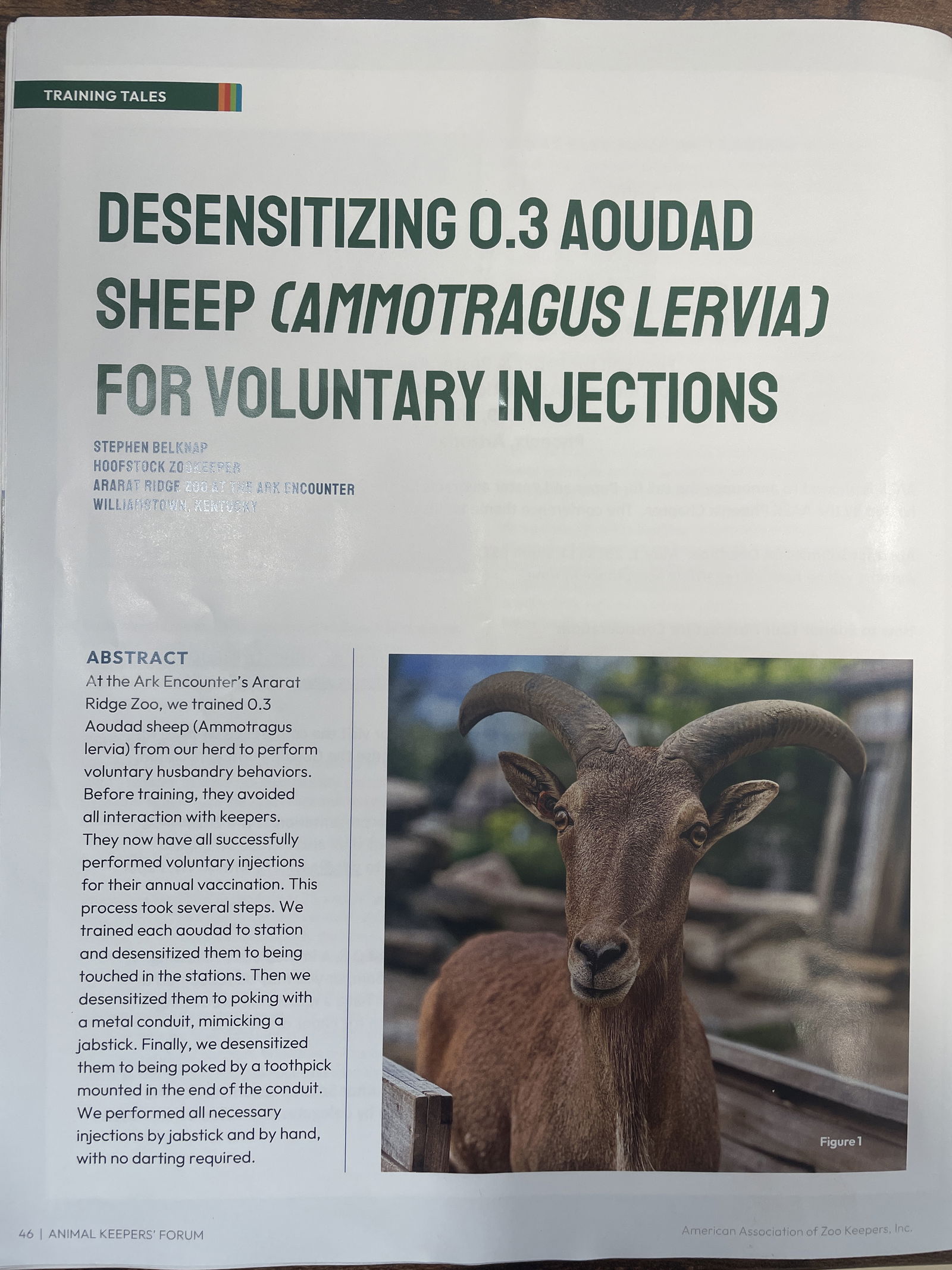 Stephen Belknap's Research