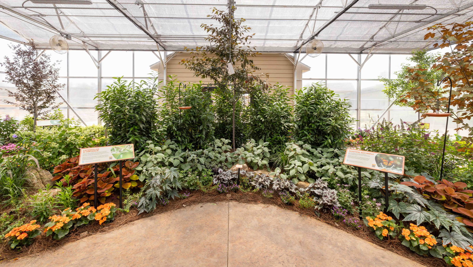 Butterfly House