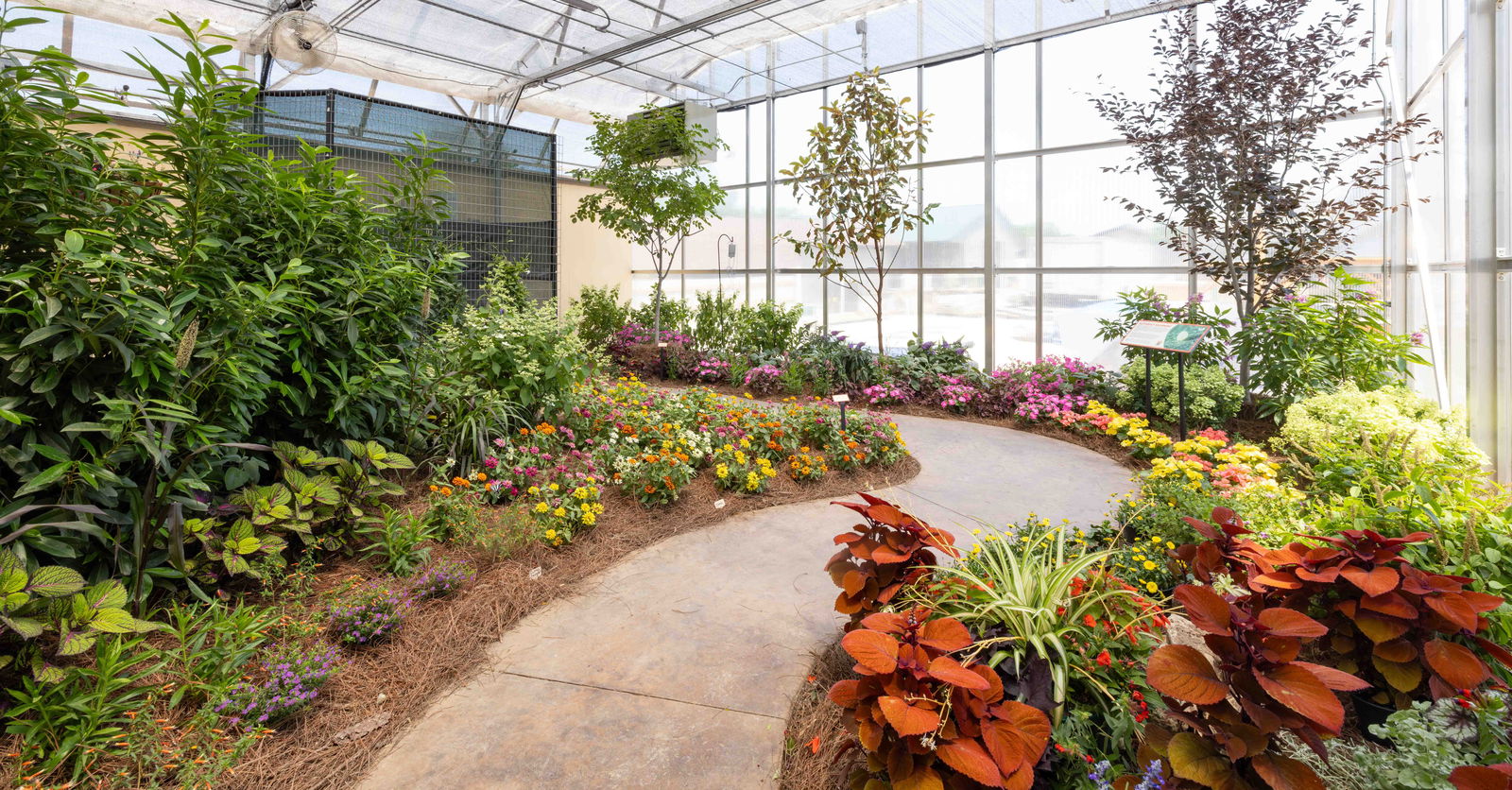 Butterfly House