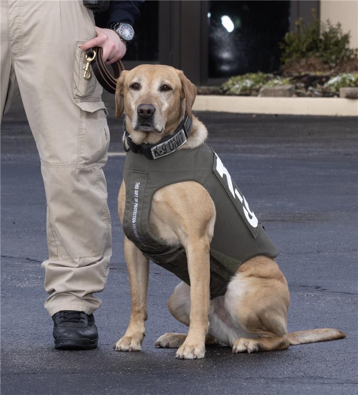 K9 at Creation Museum