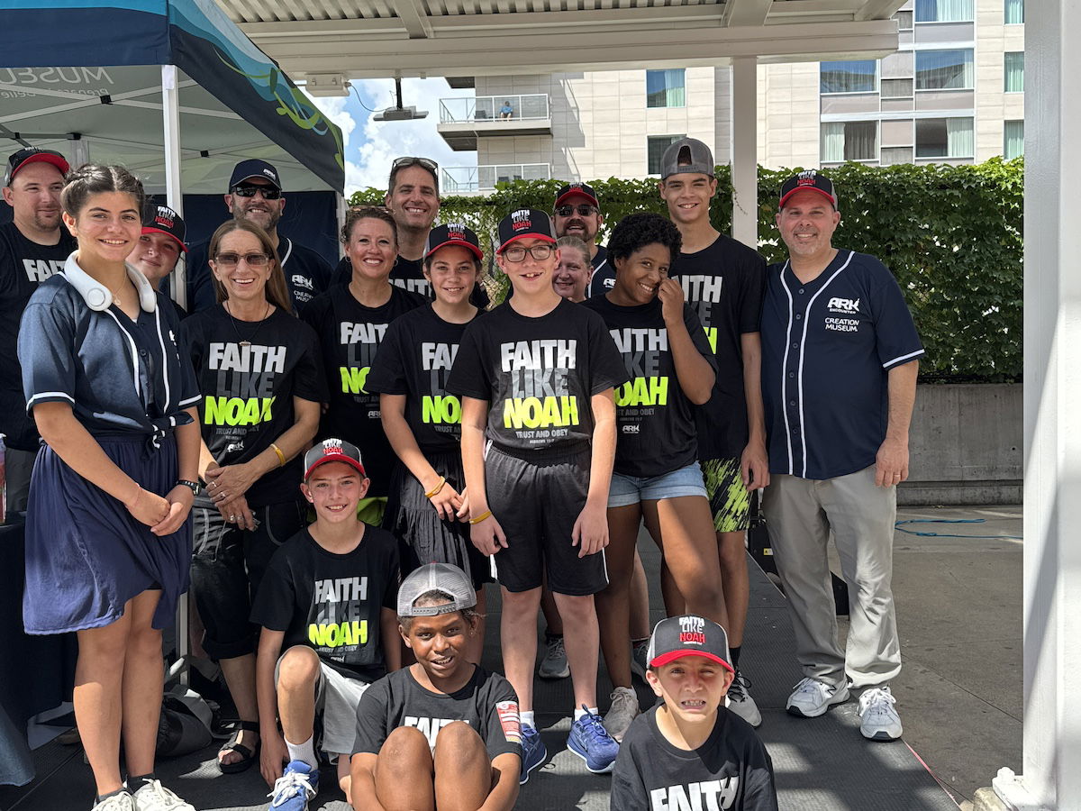 Ark sponsoring Cincinnati Reds