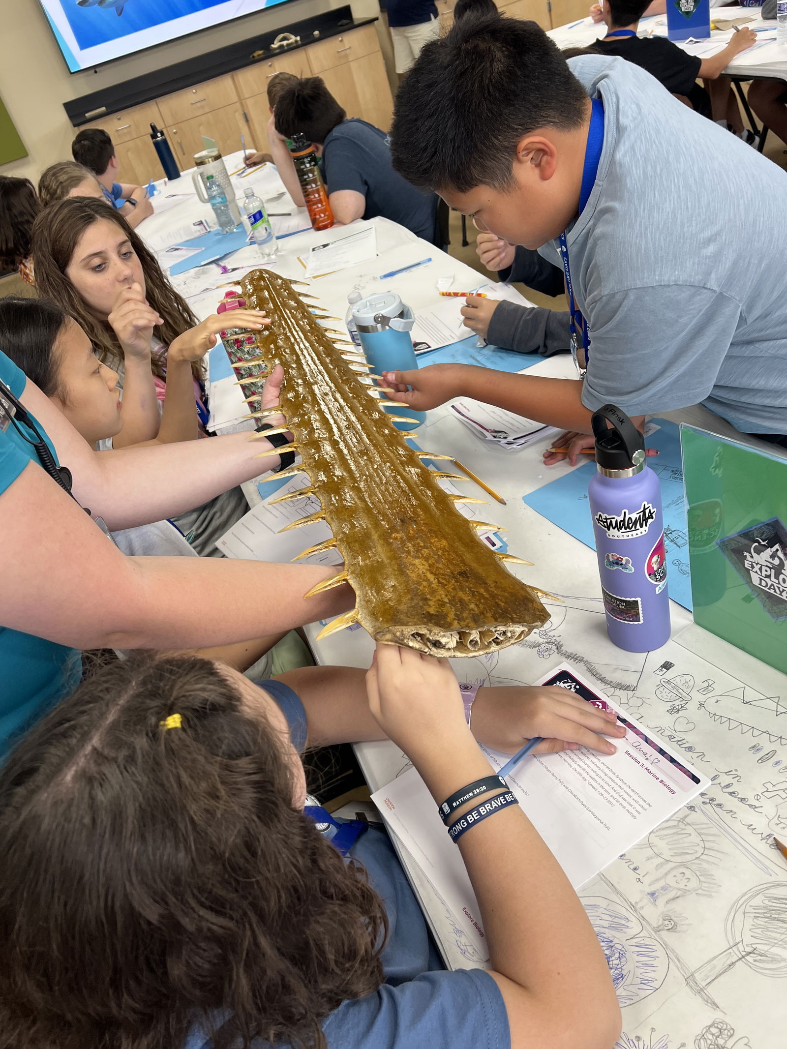 Summer Explore Camp