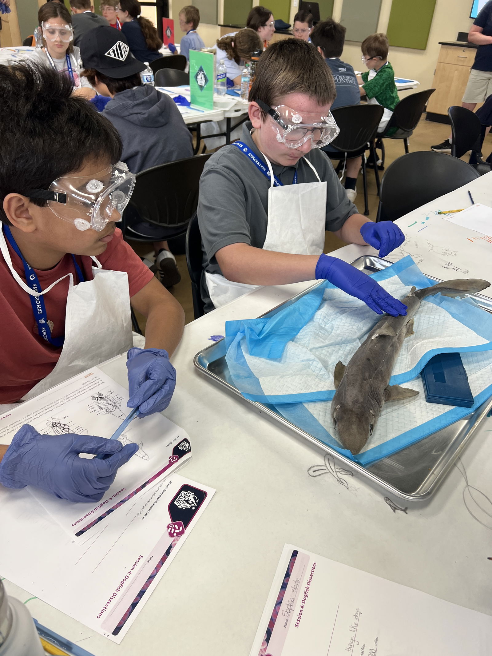 Summer Explore Camp