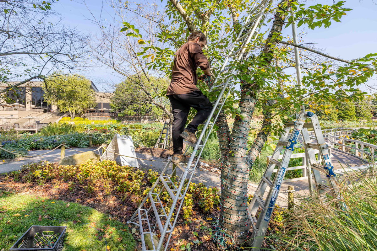 Prepping for Christmas