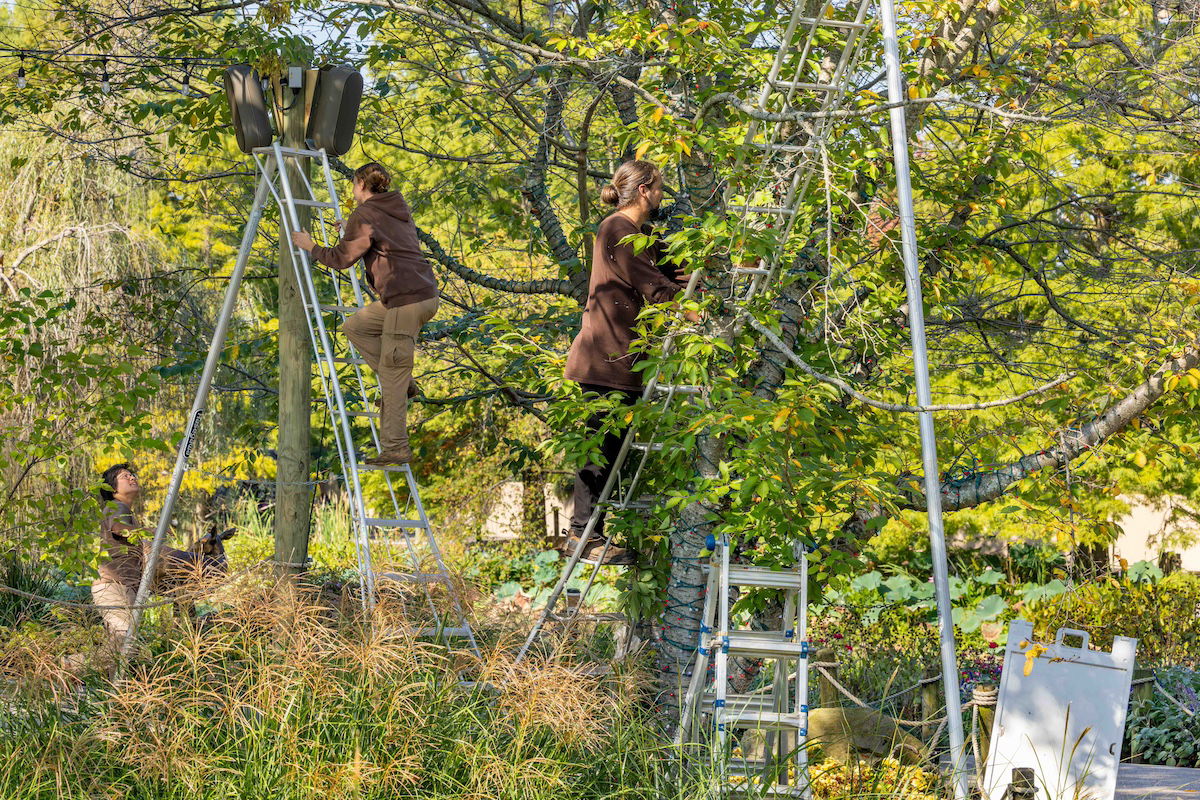 Prepping for Christmas