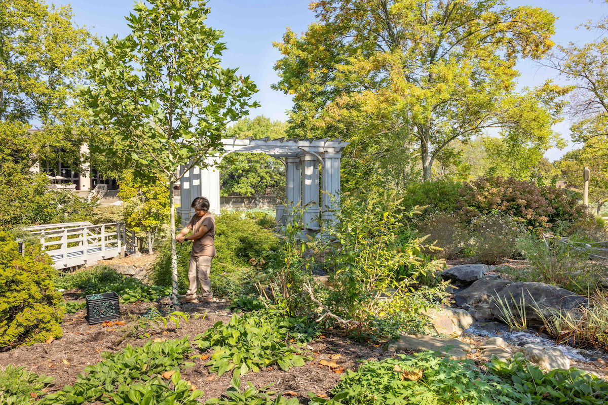 Prepping for Christmas