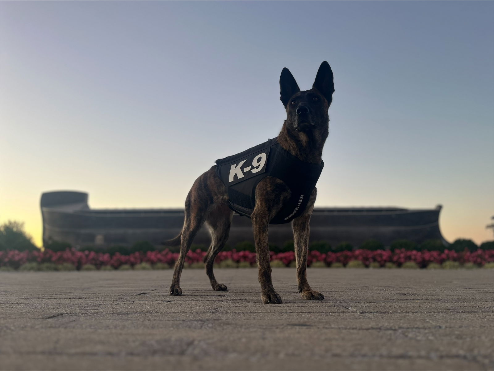 vested K9