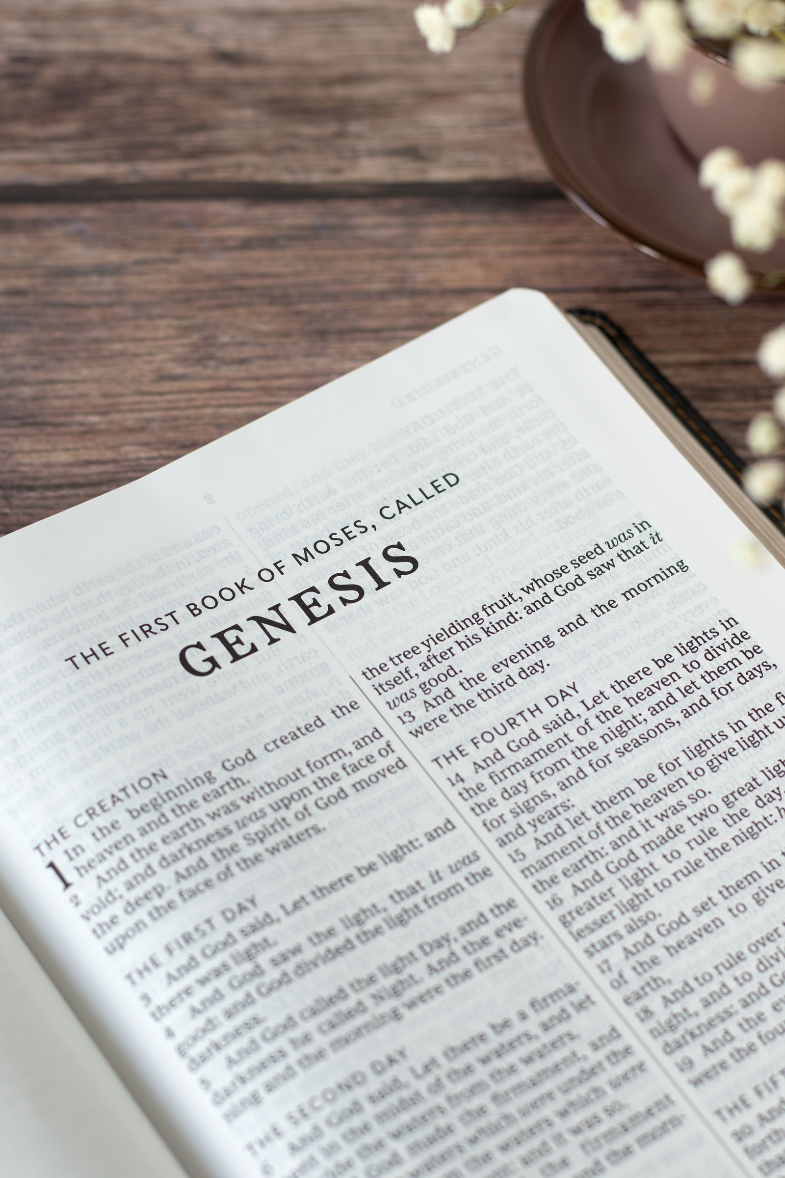 Bible open to Genesis
