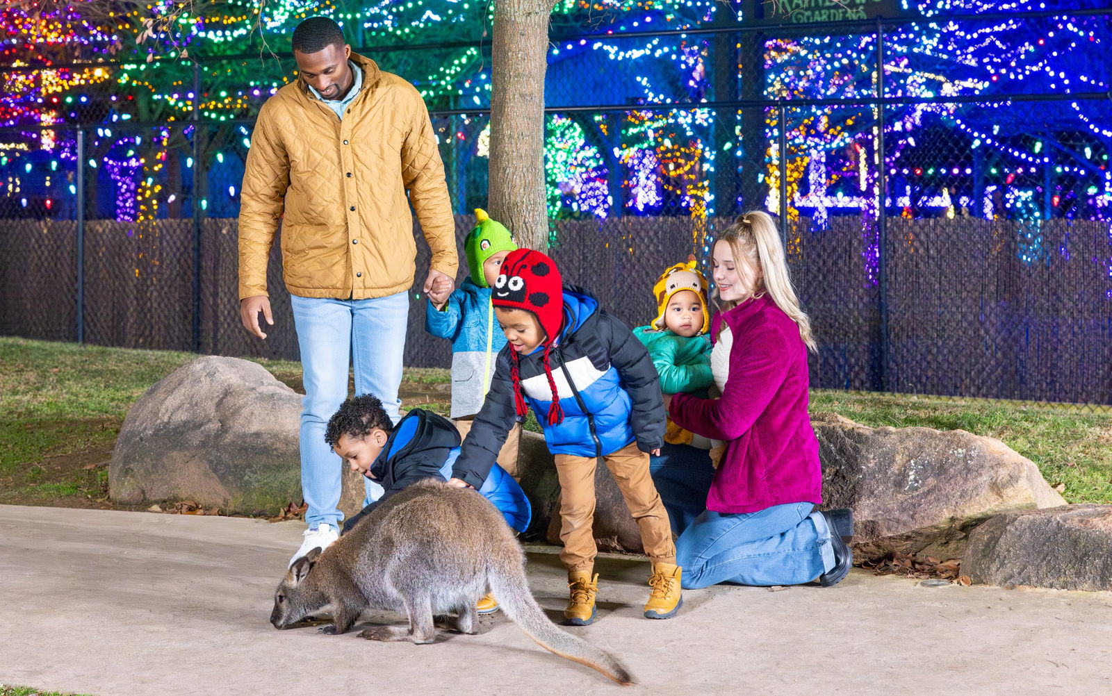 Christmas at the Ark Encounter