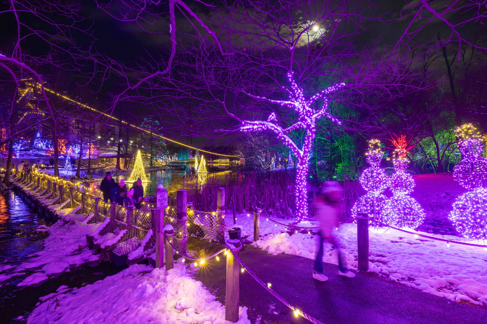 Christmas at the Creation Museum