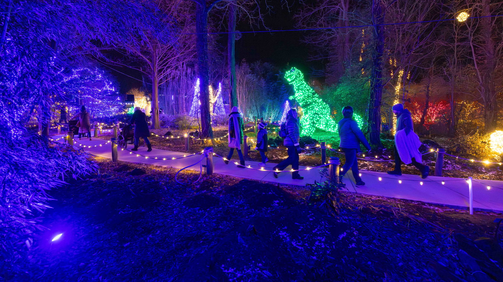 Christmas at the Creation Museum