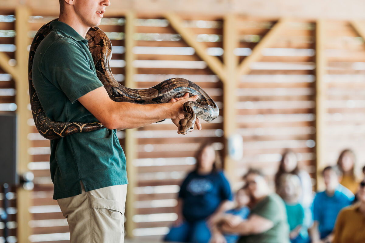 Animal encounter event