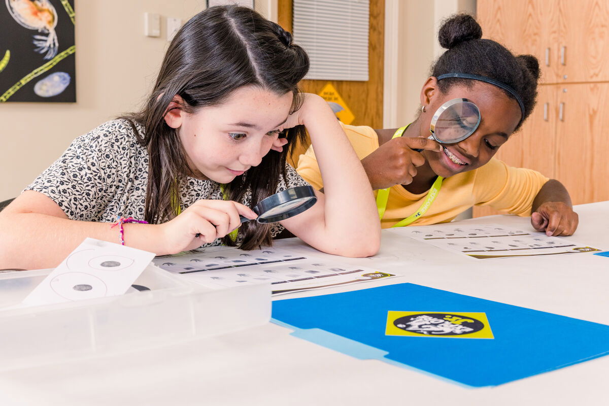 Creation Museum science camps