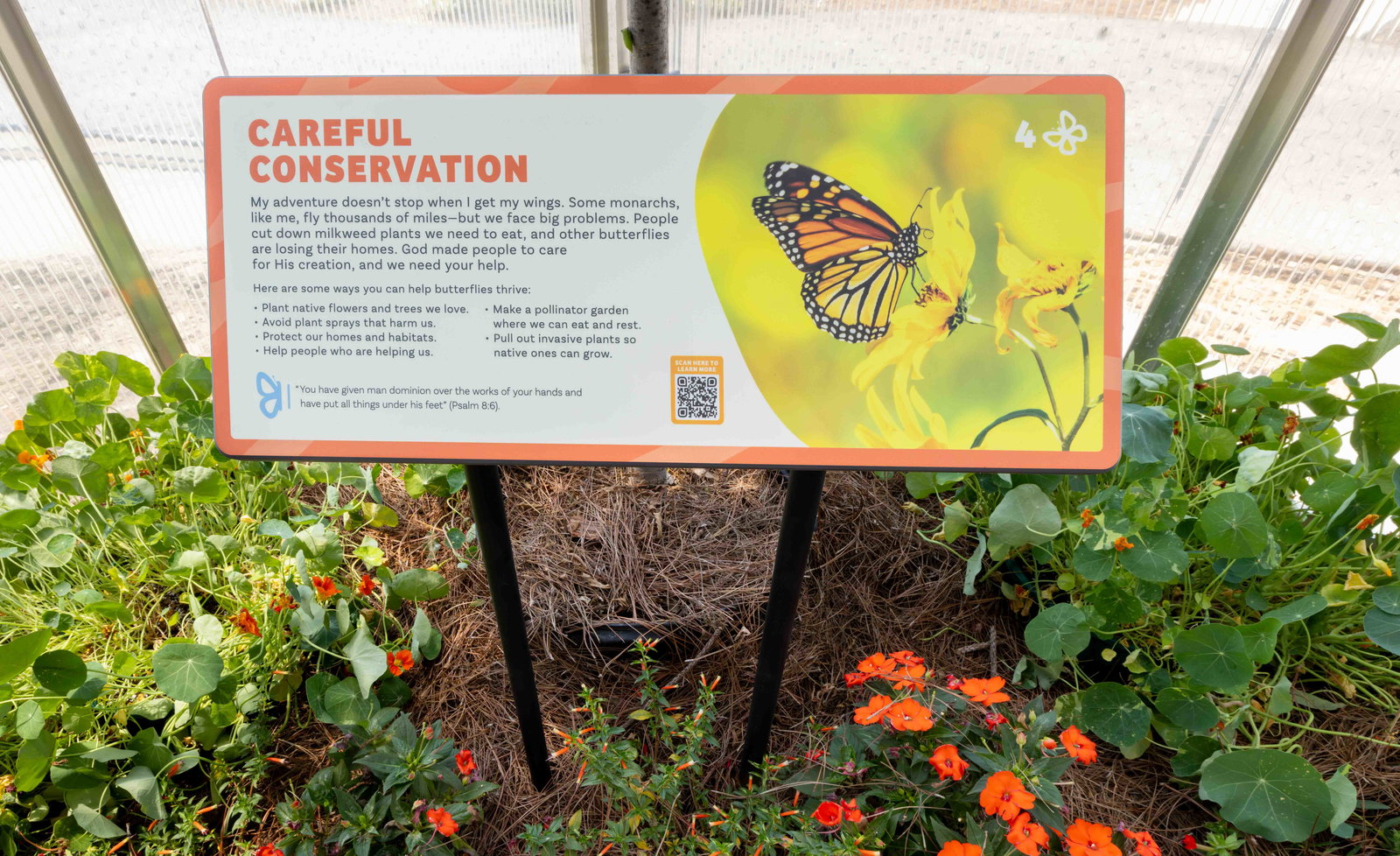 Creation Museum Butterfly House