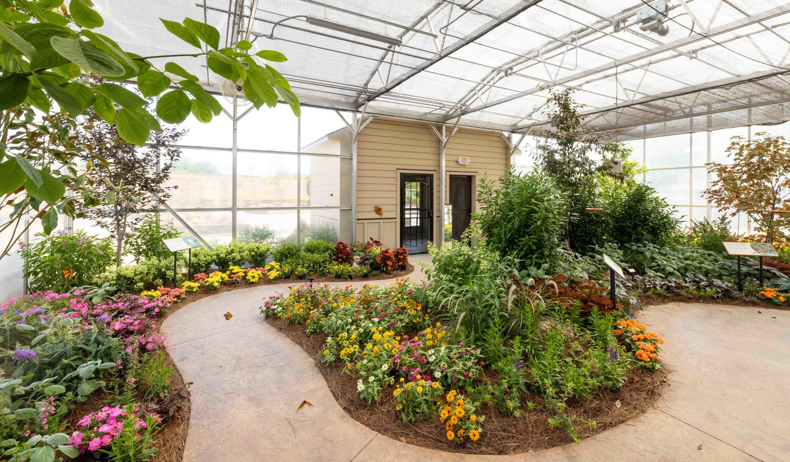Creation Museum Butterfly House