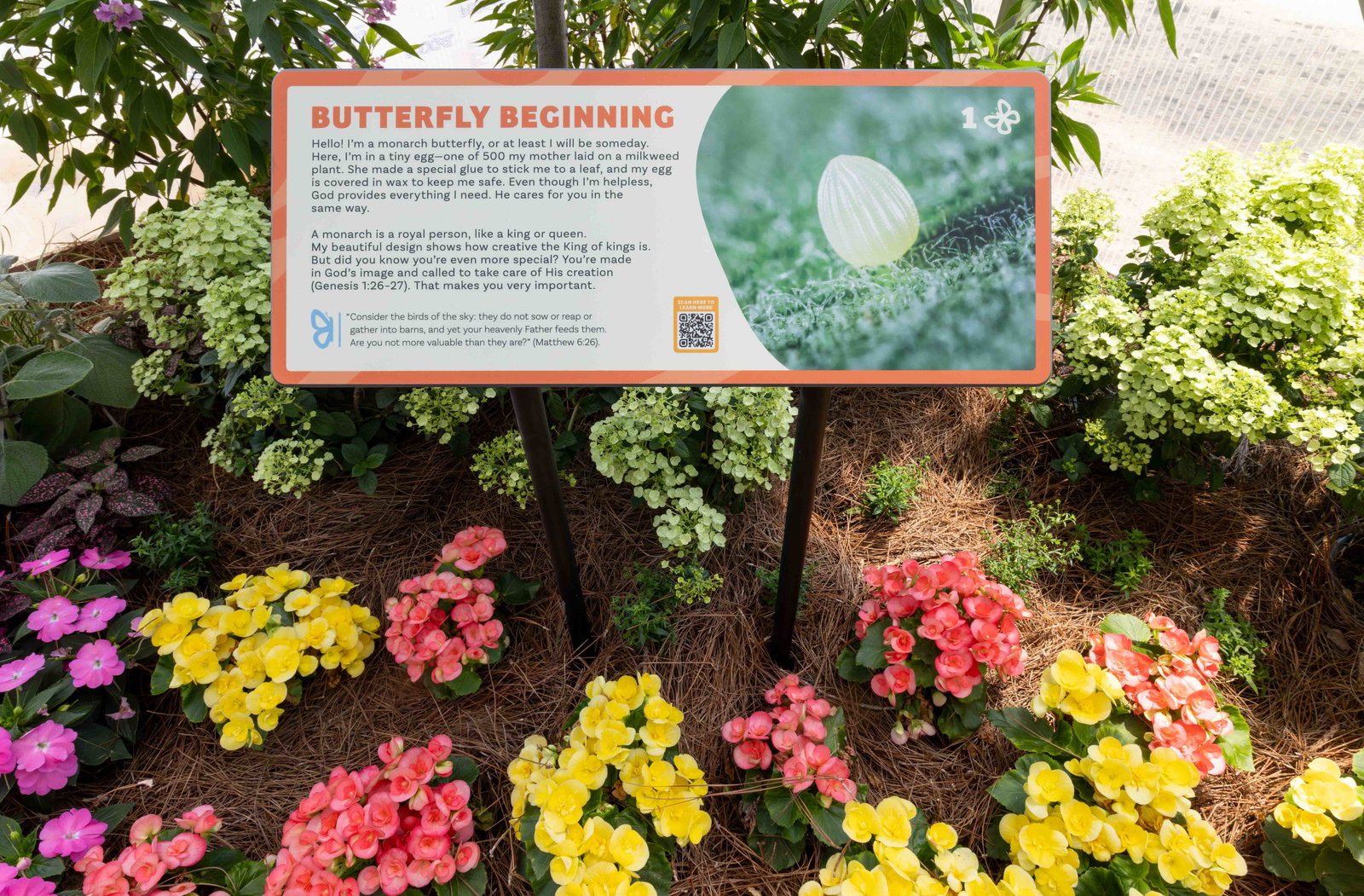 Creation Museum Butterfly House