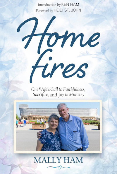 Home Fires book cover