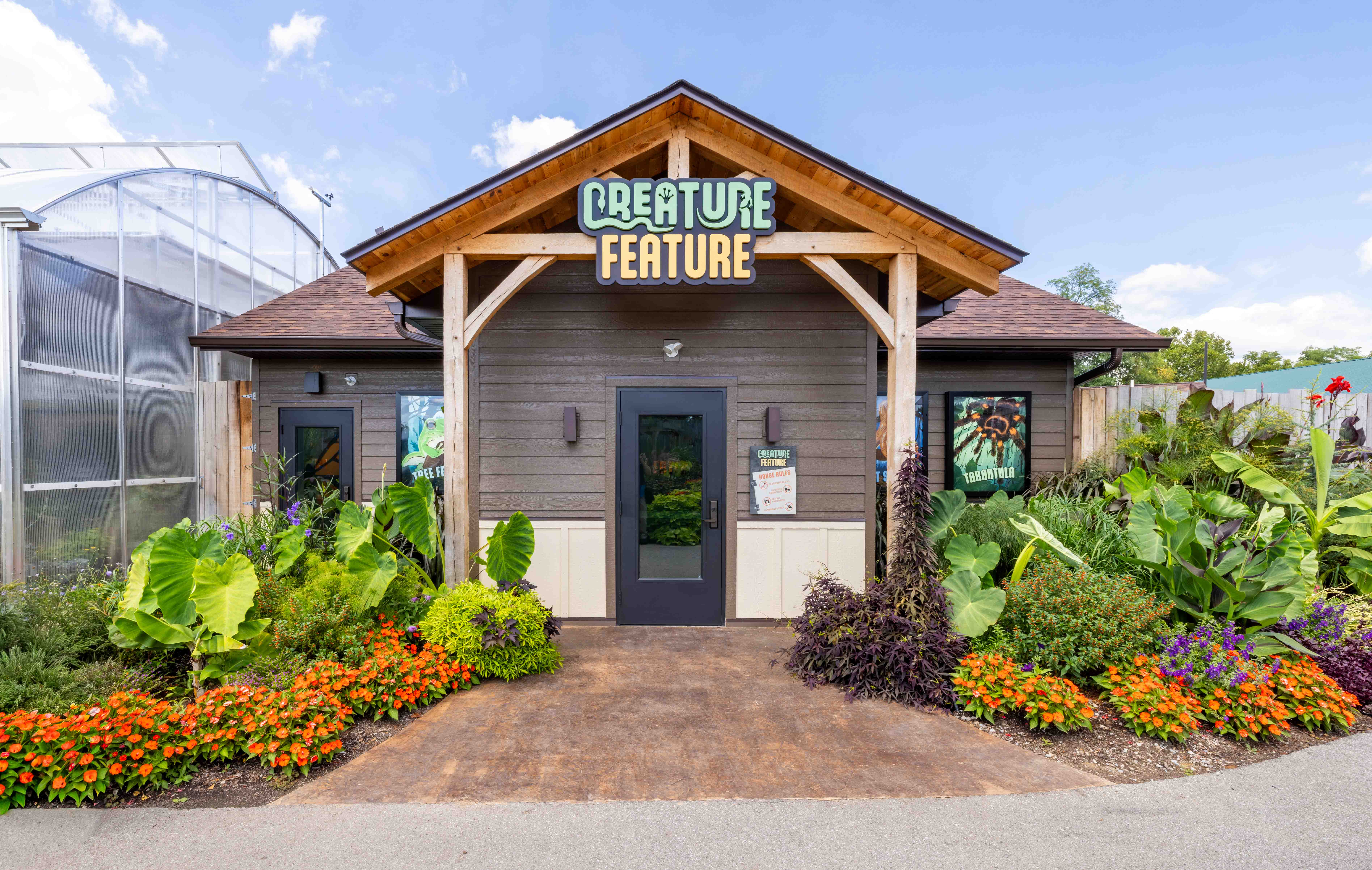 Creature Feature