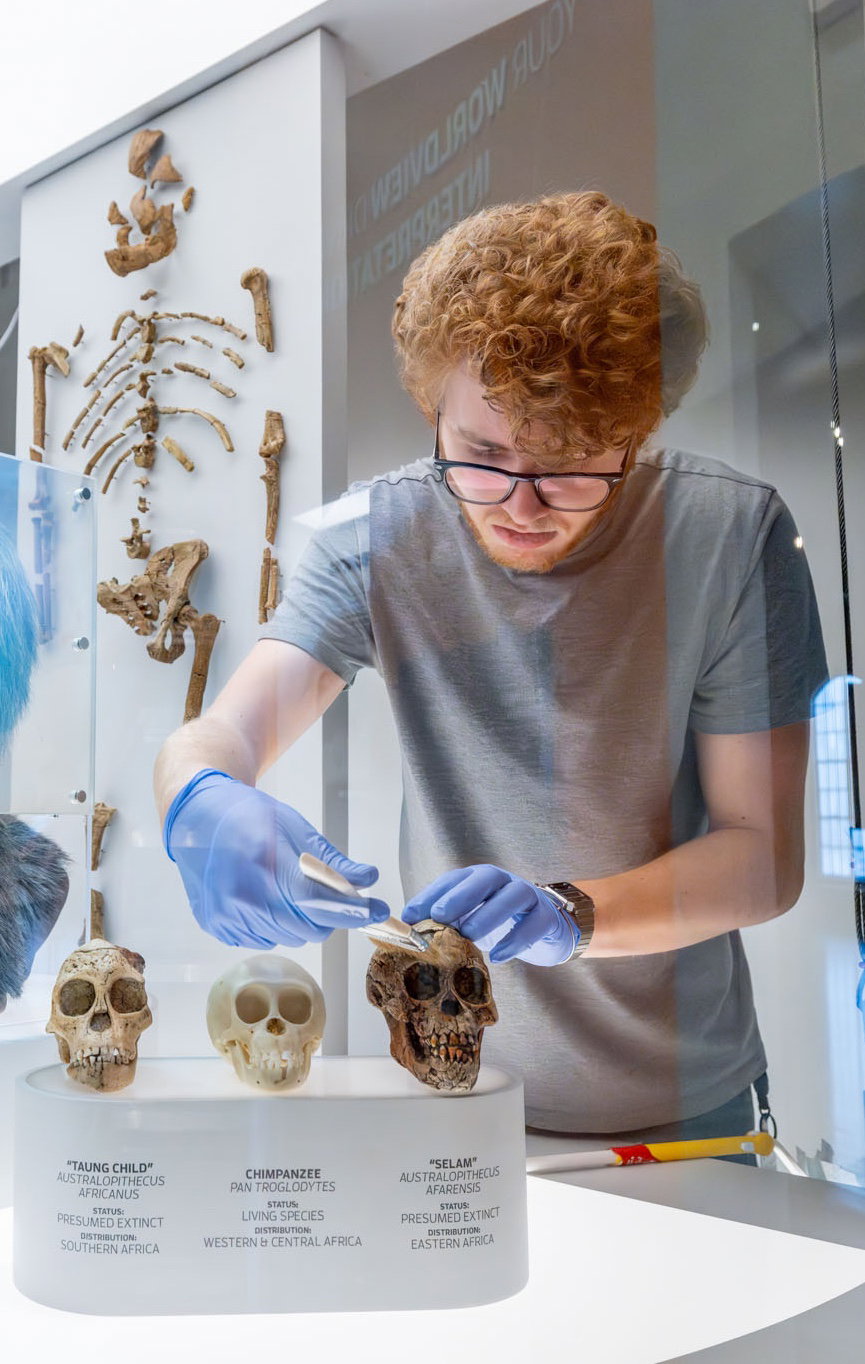 staff member working on exhibit