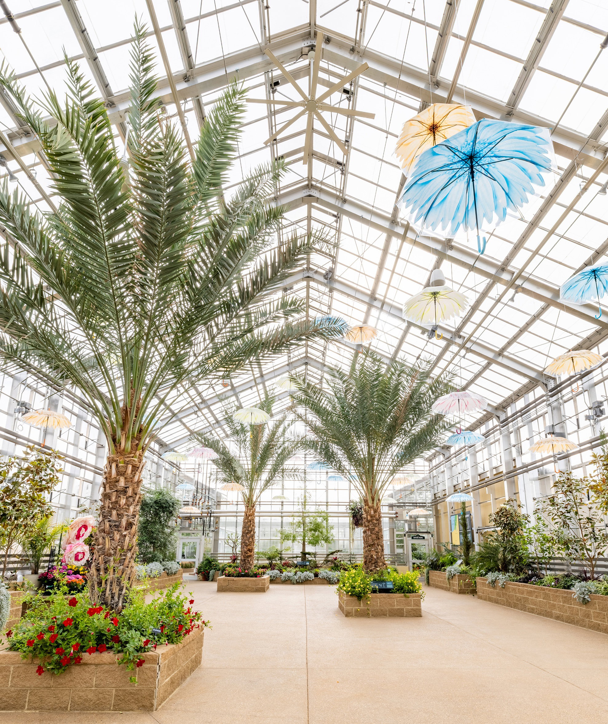 Creation Museum conservatory