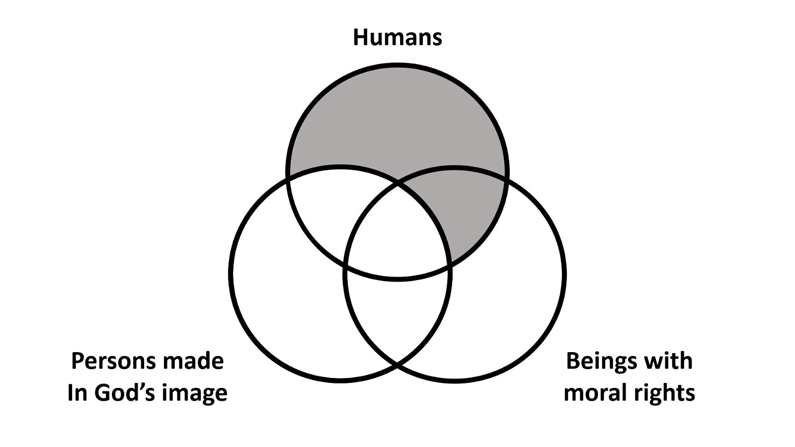 Humans Diagram 1