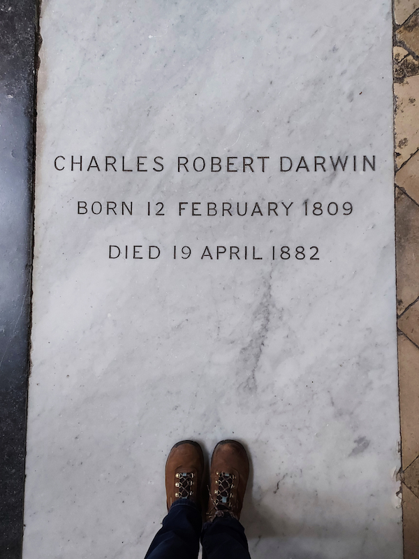 Charles Darwin grave